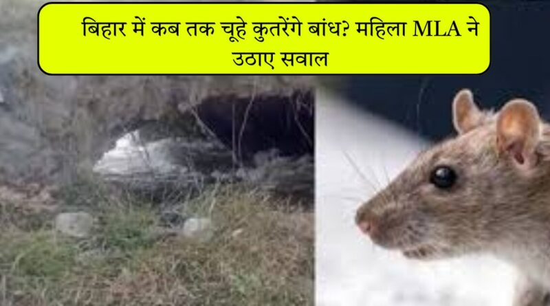 बिहार में कब तक चूहे कुतरेंगे बांध? महिला MLA ने उठाए सवाल