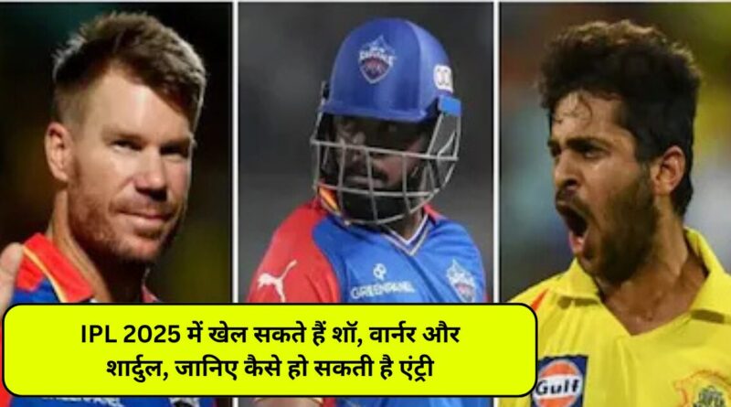 IPL 2025 में खेल सकते हैं शॉ, वार्नर और शार्दुल, जानिए कैसे हो सकती है एंट्री