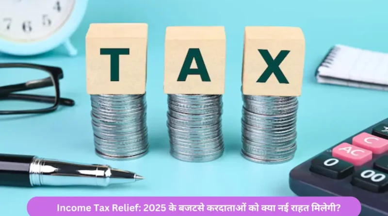 Income Tax Relief: 2025 के बजटसे करदाताओं को क्या नई राहत मिलेगी?